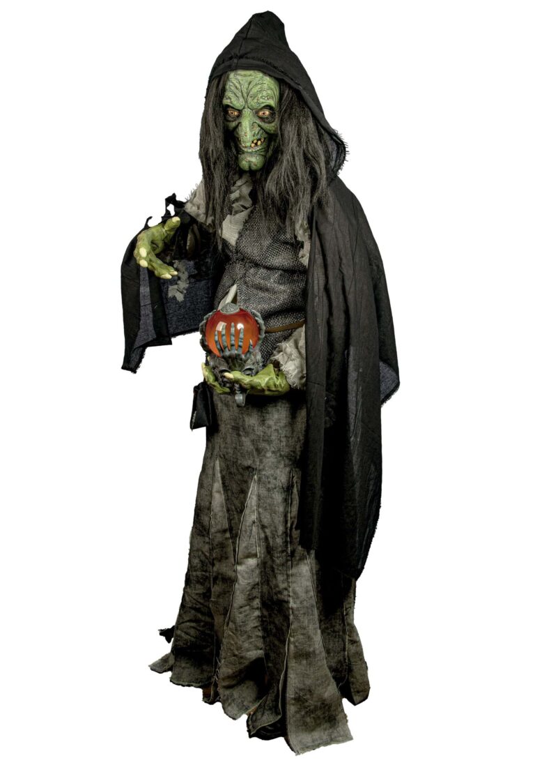 adult-premium-witch-costume