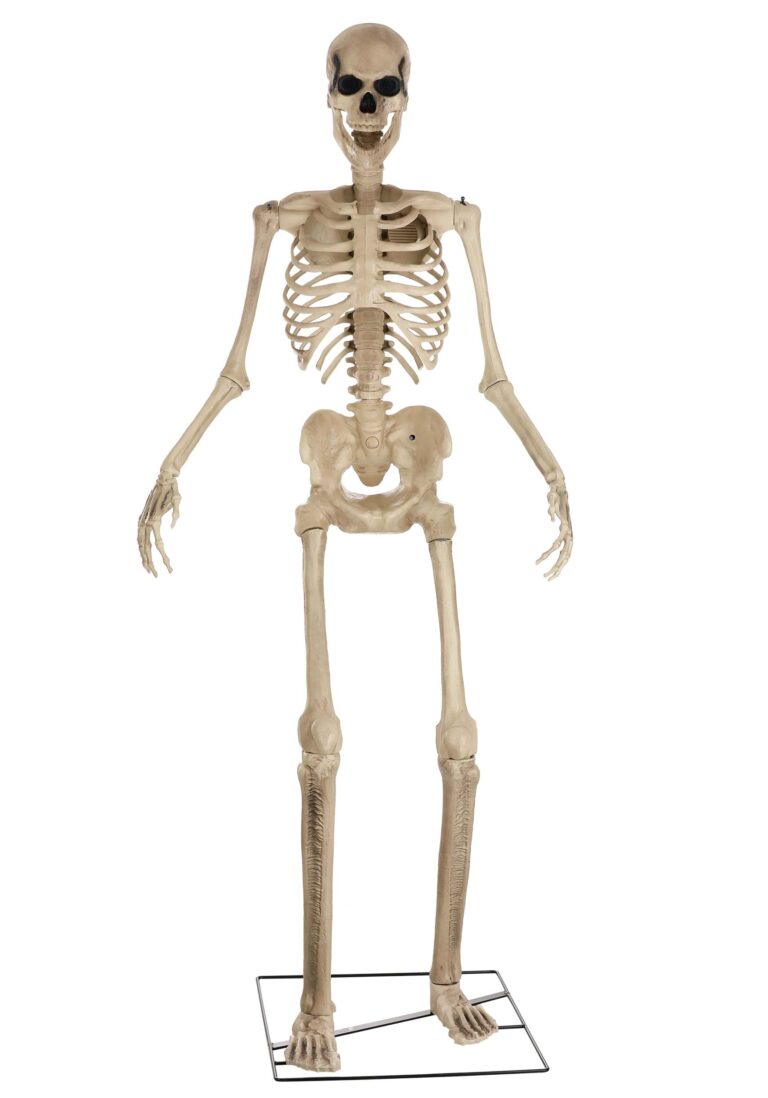 giant-8-animated-skeleton-decoration