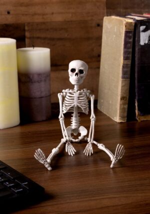 12-Inch Realistic Plastic Skeleton Decoration | Skeleton Decorations