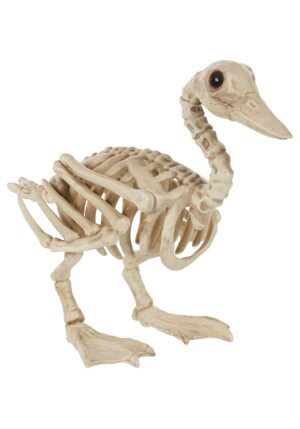 15" Duck Skeleton Halloween Prop | Animal Skeletons