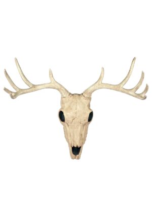 21 Inch Buck Skull Halloween Decoration | Animal Skulls