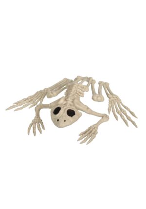 8" Skeleton Frog Halloween Decoration