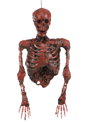 Women's X-Ray Skeleton Jumpsuit Costume