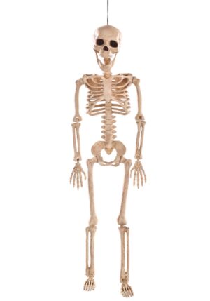 24-Inch Skeleton Poseable Decoration | Posable Skeletons