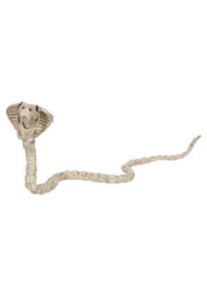 39" Cobra Skeleton Prop | Animal Skeletons Decorations