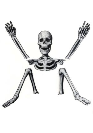 5 Piece Skeleton Ground Breaker Yard Prop Set | Skeleton Decorations