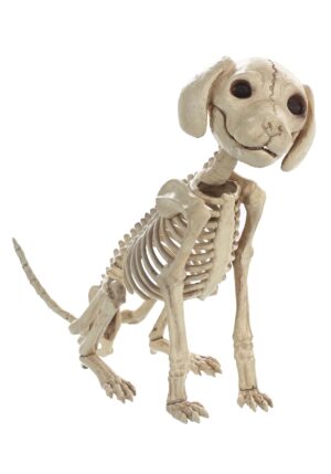 7.5-Inch Sitting Skeleton Puppy Decoration | Animal Skeletons