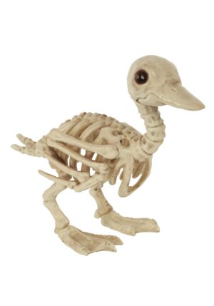 7.75-Inch Duckling Skeleton Bones Decoration | Animal Skeletons
