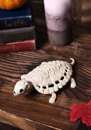 8-Inch Turtle Skeleton Decoration | Animal Decorations