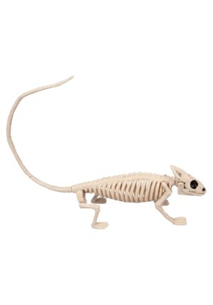 8-Inch Lizard Skeleton Decoration | Animal Skeletons