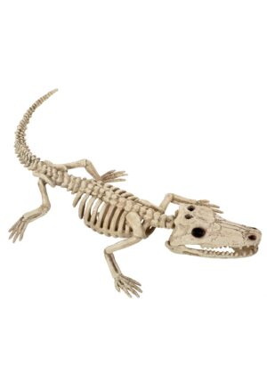 10-Inch Skeleton Baby Alligator Decoration | Animal Skeletons