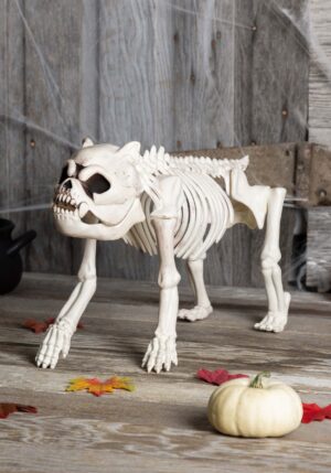 11-Inch Skeleton Dog Bones the Hungry Hound Decoration | Animal Skeletons