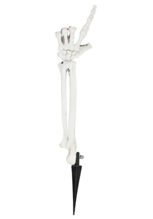 15-Inch Boney Skeleton Arm Prop Decoration | Skeleton Decorations
