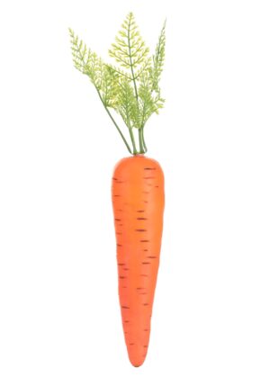 Carrot Prop | Bunny Accessories