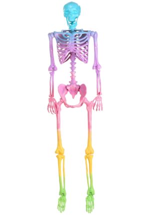 Poseable 5FT Crazy Bones Skeleton in Rainbow Decoration | Skeleton Decorations