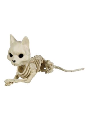 10.5-Inch Cute Sitting Cat Skeleton Decoration | Animal Skeletons