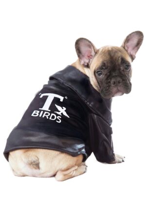 Grease T-Birds Jacket Pet Costume | Grease Costumes