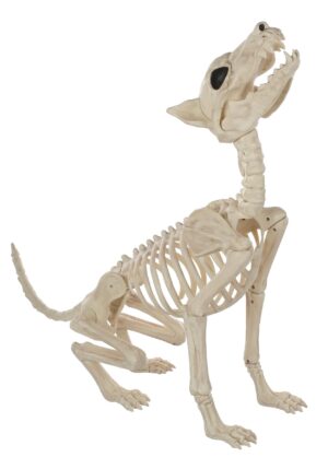 27-Inch Howl At The Moon Dog Skeleton Decoration | Animal Skeletons