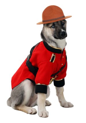 Pet Mountie Costume | Halloween Pet Costumes