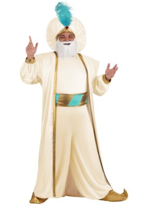 Men's Plus Size Disney Aladdin Sultan Costume | Disney Costumes