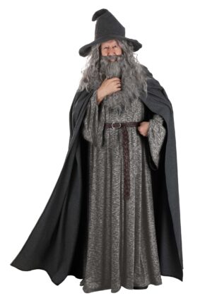 Men's Plus Size Gandalf Lord of the Rings Costume