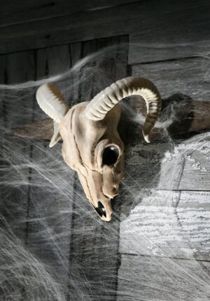 13-Inch Plastic Ram Skull Decoration | Animal Skeletons