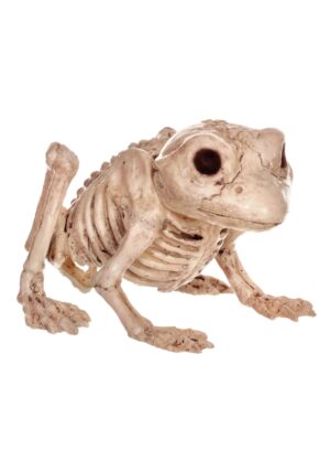 5-Inch Frog Skeleton Decoration | Animal Skeletons
