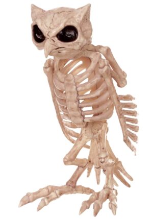 14-Inch Owl Skeleton Bones Decoration | Animal Skeletons