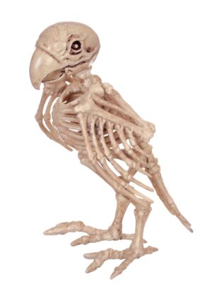 7.5-Inch Parrot Skeleton Decoration | Animal Skeletons