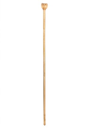 Gold Snake Staff | Costume Accessories