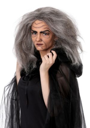 Witch/Old Lady Grey Costume Wig for Women | Costume Accessories