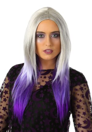 Women's Ombre Purple and Grey Costume Wig | Costume Accessories