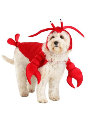 Red Lobster Costume for Pets | Halloween Pet Costumes