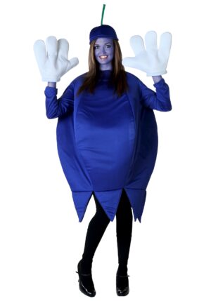 Blueberry Plus Size Adult Costume | Funny Costumes