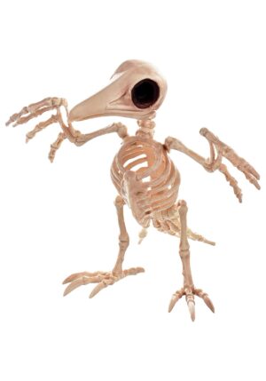 10.5-Inch Creepy Skeleton Raven Decoration | Animal Skeletons
