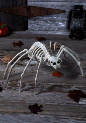 20-Inch Skeleton Spider Decoration | Animal Skeletons