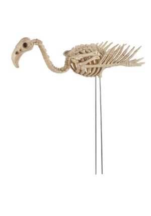 26.5-Inch Flamingo Skeleton Decoration | Skeleton Animals