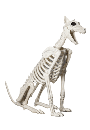 3.8FT Spike the Skeleton Dog Halloween Prop | Skeleton Animals