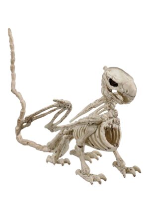 5.5-Inch Griffin Skeleton Halloween Prop | Animal Skeletons