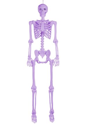 5FT Poseable Crazy Bones Skeleton in Purple Halloween Decoration | Poseable Skeletons