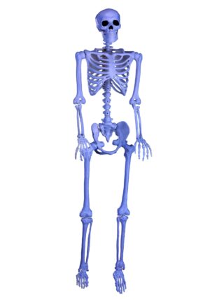 5FT Black Light Ghostly Skeleton Halloween Prop | Skeleton Decorations