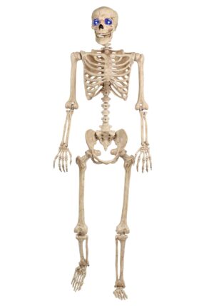 5FT Light Up Blue Eyes Poseable Human Skeleton Prop Decoration | Poseable Skeletons
