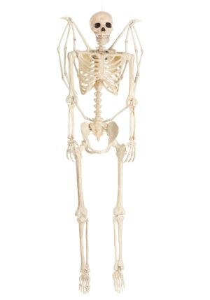 5FT Poseable Winged Skeleton Prop Decoration | Poseable Skeletons