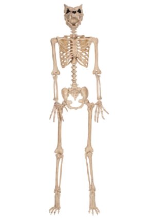 5.3FT Poseable Werewolf Skeleton Halloween Prop | Animal Skeletons