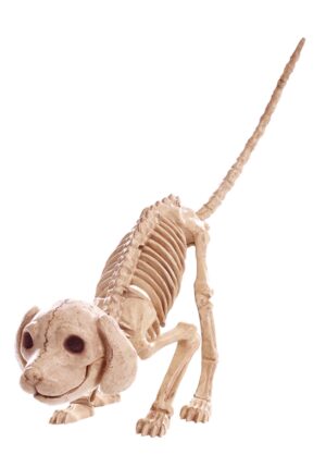 7.5-Inch Halloween Puppy Skeleton Decoration | Animal Skeletons