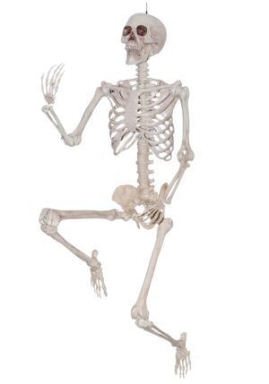 7FT Titan Skeleton Prop Decoration | Skeleton Decorations