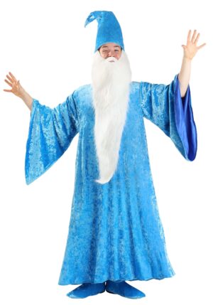 Adult Disney The Sword in the Stone Merlin Costume | Disney Costumes