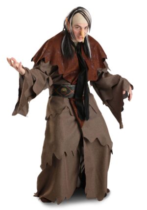 Adult It's Always Sunny Troll Costume | TV Show Costumes