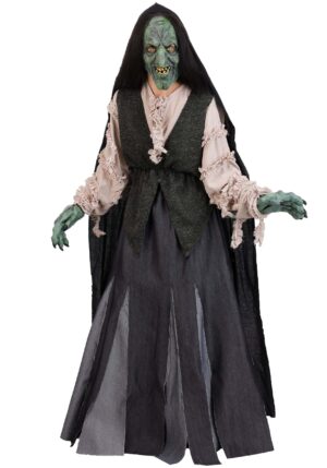 Premium Evil Green Witch Adult Costume | Scary Witch Costumes