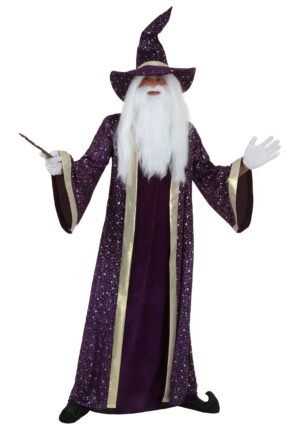 Adult Purple Wizard Costume | Storybook Costumes